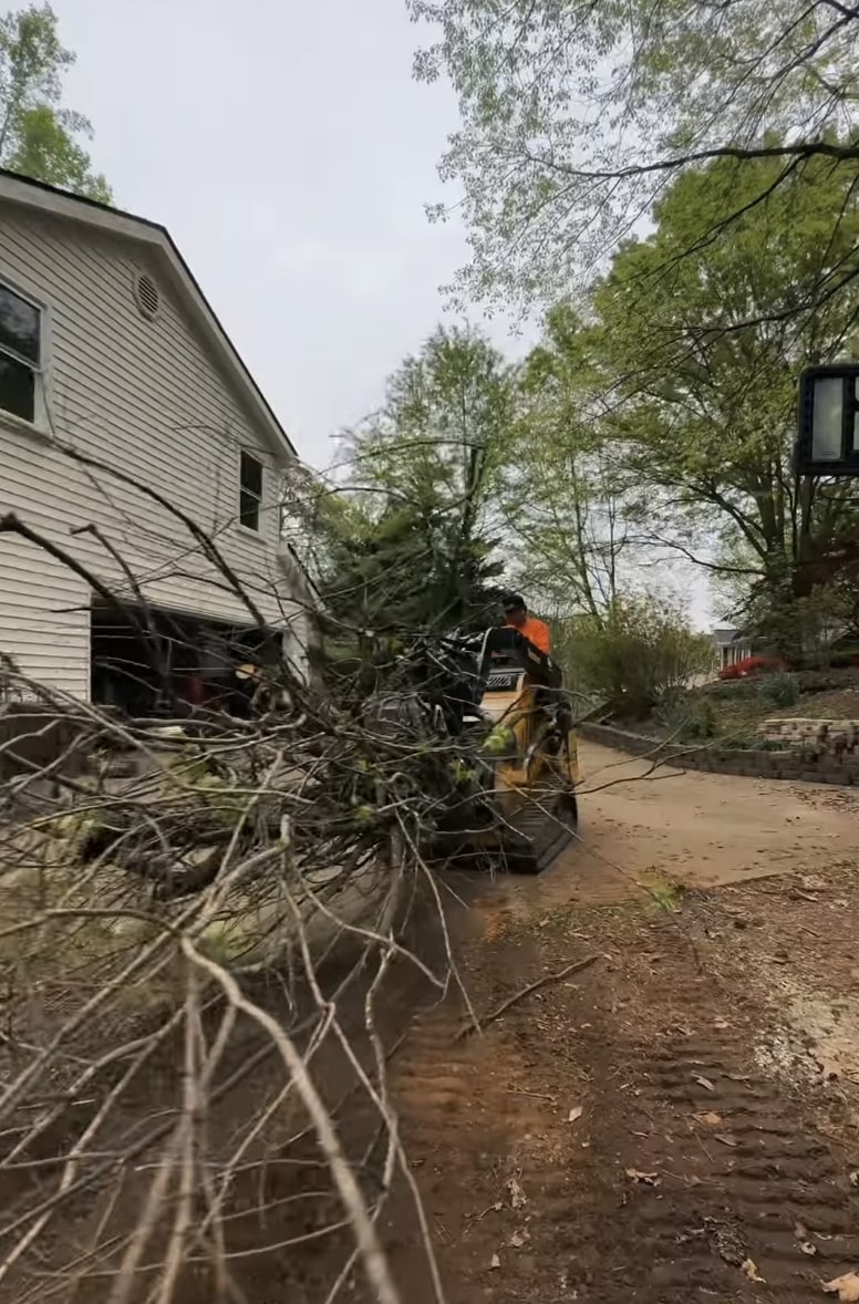 Professional tree services for property managers in Woonsocket, RI