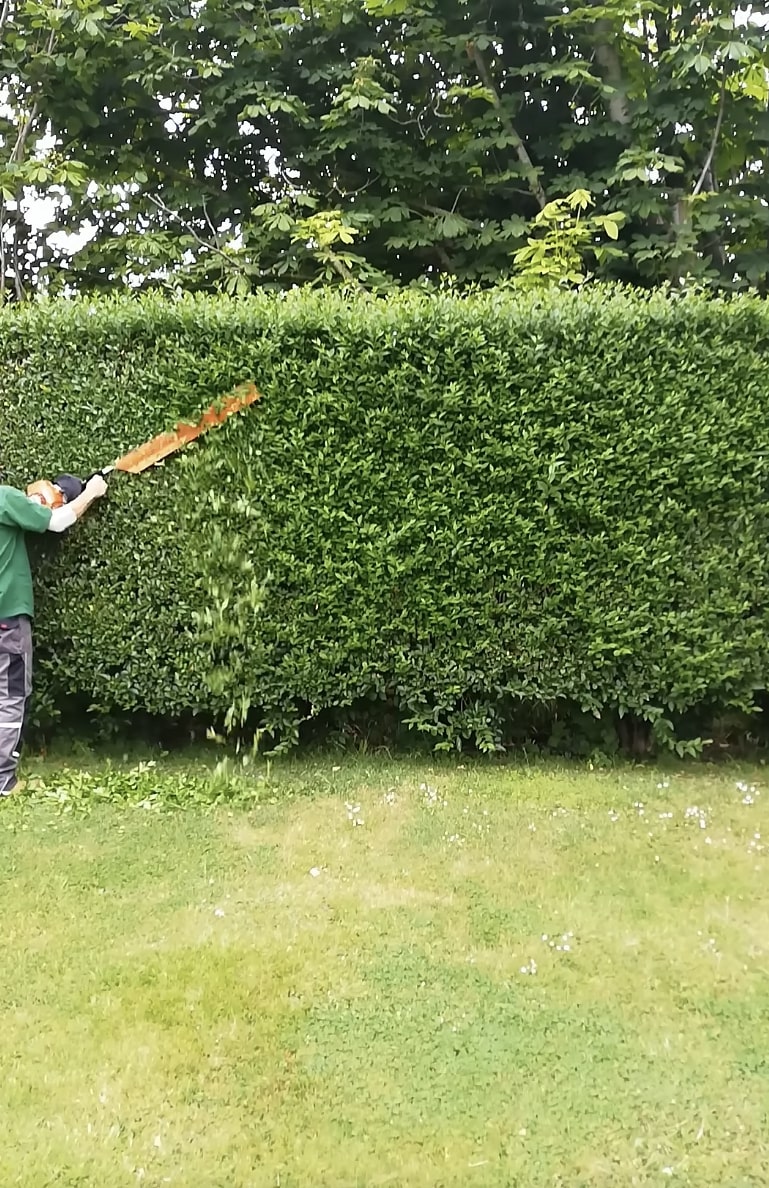 Professional hedge and shrub trimming in Woonsocket, RI