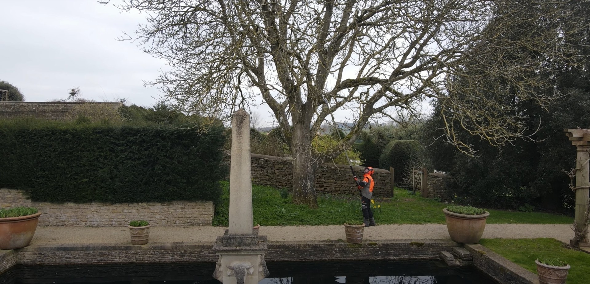 Tree Care and Maintenance Tree service professional working on large tree in scenic garden setting
