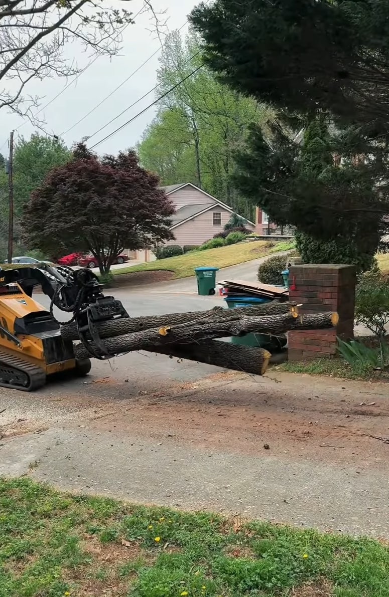 Professional Tree Cutting and Removal Professional tree removal equipment and cut logs in residential neighborhood