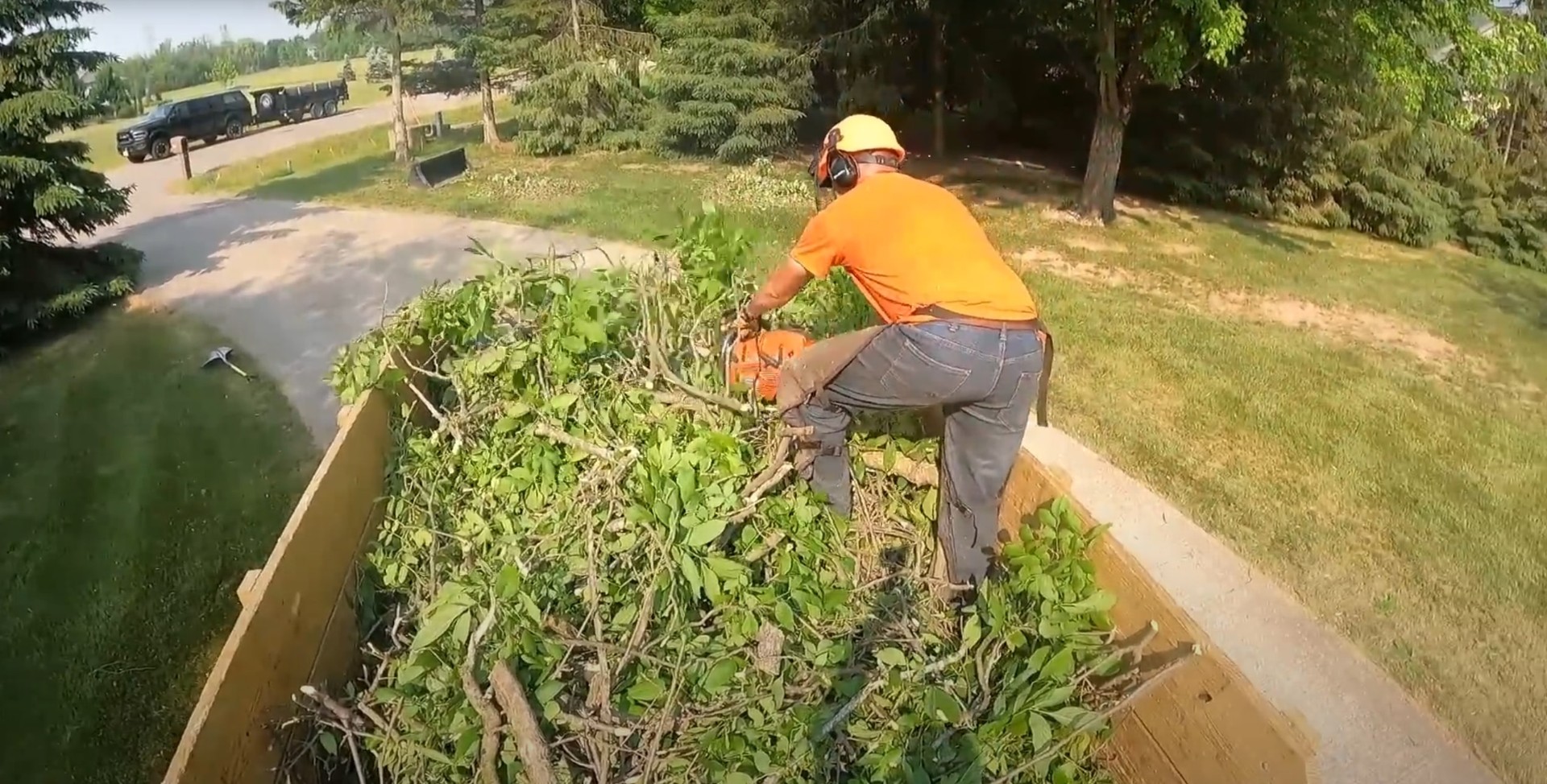 Shrub and Vegetation Clearing Tree service professional using chainsaw for shrub and vegetation removal