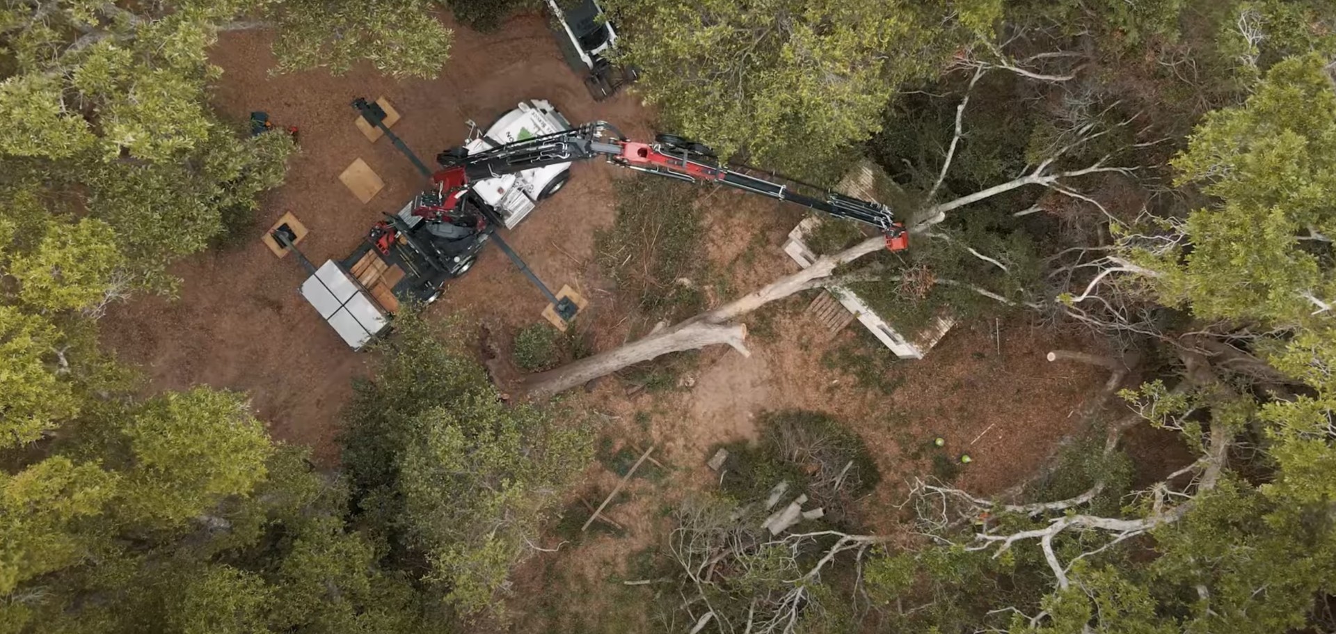 Comprehensive tree service operations and equipment Aerial view of professional tree removal equipment and site setup